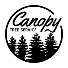 Logo for Canopy Tree Service