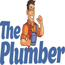 Avatar for The plumber heating and cooling