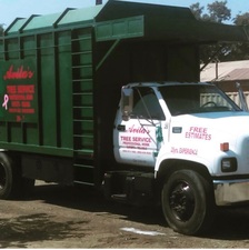 Avatar for Avila's Tree Services, Inc.