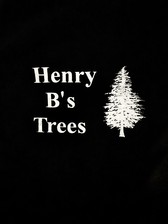 Avatar for Henry B's Trees, LLC