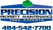 Avatar for Precision Tree Experts