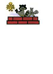 Complete Chimney Service, Inc. logo