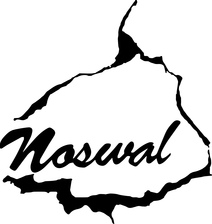 Noswal Designs, LLC logo