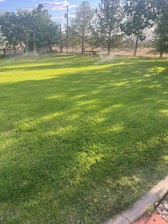 Avatar for JC Lawn Services