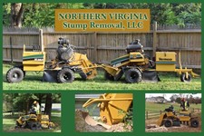 Logo for Northern Virginia Stump Removal