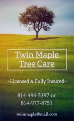Twin Maple Tree Care logo