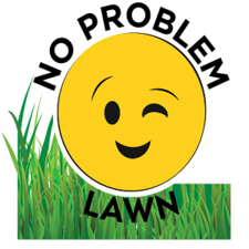 No Problem Lawn, LLC logo
