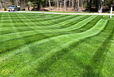 Avatar for Tyler's Lawn Maintenance & More