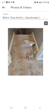 Logo for Carpet Repair - Jose Delgado, LLC