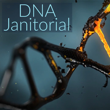 Avatar for DNA Janitorial
