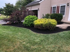 Avatar for GuilderGreen Landscaping LLC
