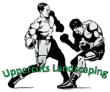 Avatar for Uppercuts Landscaping, LLC
