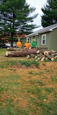 LEE'S TREES Facebook logo