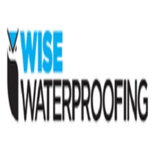 Be Wise Contractors, LLC logo