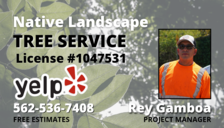 Avatar for Native Landscape Tree Services