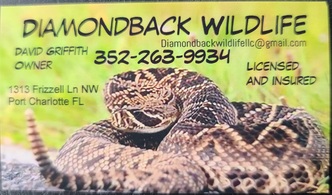 Diamond Back Wildlife logo