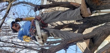 Avatar for Villegas Landscape & Maintenance