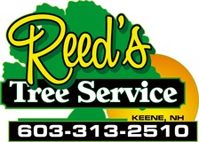 Avatar for Reed's Tree Service
