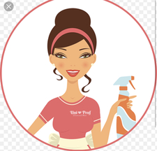 Agnes Cleaning Service logo