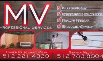 MV Professional Services logo