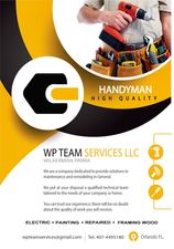 WP Team Services, LLC logo