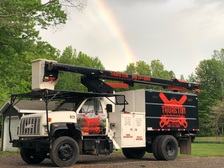 Thurston Logging & Tree Service logo