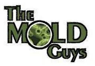 The Mold Guys logo
