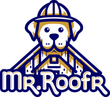 Avatar for Mr. Roofr