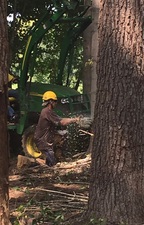 Avatar for SC3 Tree and Landscaping