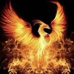 The Phoenix King of Cleaning logo