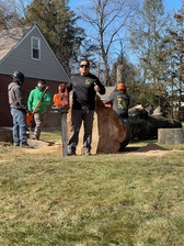 Avatar for Navarrete Bros Tree Experts