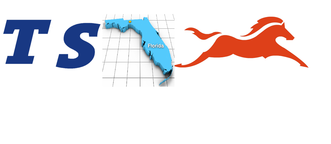 Blanco Systems, INB. logo