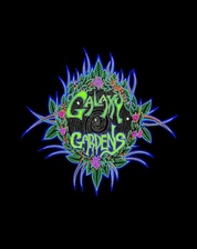 Logo for Galaxy Gardens Planet Peach