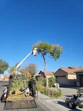 Avatar for Ortega Landscaping