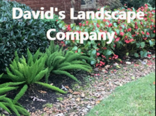 David's Landscape Company logo
