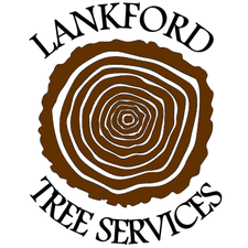 Avatar for Lankford Tree Services, LLC