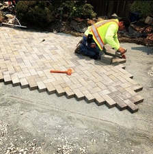 Felipe Landscaping logo