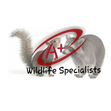 Logo for A+ Wildlife Specialists, LLC