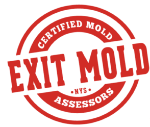 Exit Mold logo