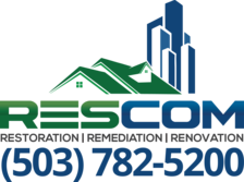 Avatar for Pure Maintenance Mold Removal