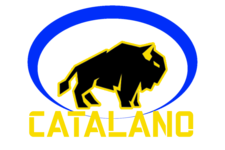 Catalano Enterprises logo