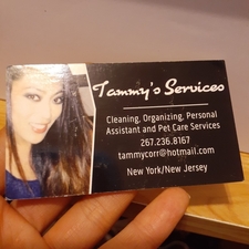 Tammy Services logo