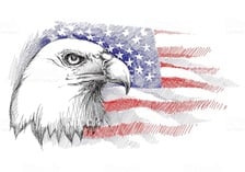 Avatar for Eagle Green Construction, LLC
