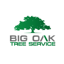 Avatar for Big Oak Tree Service