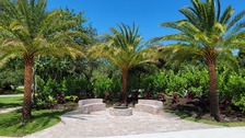 Brevard's Best Tree & Landscaping Service logo