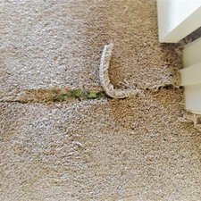 Northern Virginia Carpet Repair Providing Northern Virginia Dc Md With Carpet Cleaning Carpet Repairs Stretching Upholstery Cleaning And Water Damage Restoration