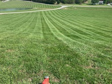 JP Lawn Service logo