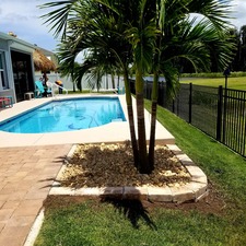 Avatar for The Yard Doctor