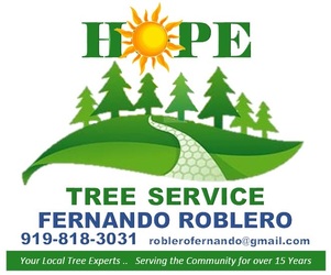 Hope Handyman logo