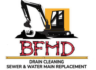 BFMD, LLC logo